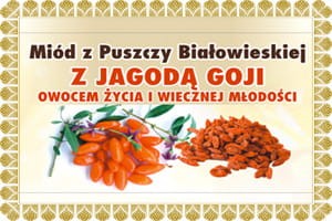 miód z jagodami goji na starzenie się