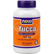 Yucca oczyszcza organizm i wspomaga układ trawienny 100kaps