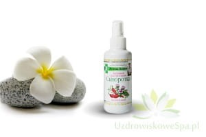 Serum na porost włosów Babuszki Agafii ziołowe z papryką i drożdżami, 150ml