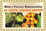 Miód ze Złotą Jagodą Inków z Puszczy Białowieskiej 400g