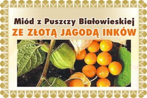 miód z jagodą inków