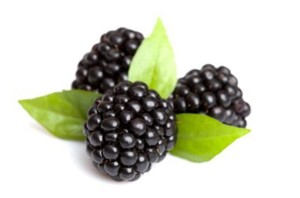 Liofilizowana jeżyna 30g