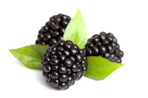 Liofilizowana jeżyna 30g