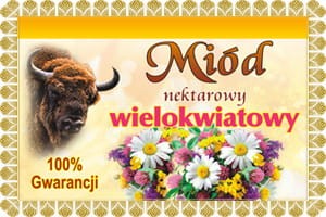 Miód wielokwiatowy zapobiega grypie i przeziębieniu 1300g.jpg