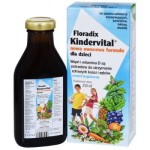 Floradix Kindervital Nowa Owocowa Formuła 250ml