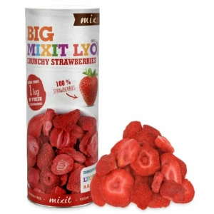 Liofilizowana truskawka 100g