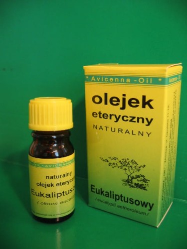 Olejek eteryczny eukaliptusowy Avicenna na przeziębienie, reumatyzm, artretyzm, depresję 7ml