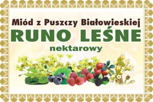 miód z runa leśnego na przeziębienia