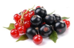 Liofilizowana czerwona porzeczka 30g