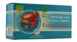 Herbatka na pracę jelit z owoców leśnych EKO fix 20x2,5g