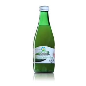 Sok z ogórkowy kwaszonych organiczny BIO 300ml