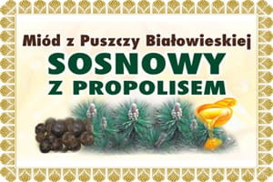 miod-sosnowy-z-propolisem-na-kaszel.jpg