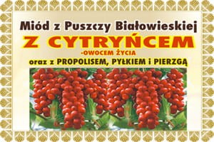 miód-z-cytryńcem-na-zmęczenie