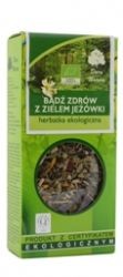 herbata-ziołowa-jeżówka-purpurowa-na-przeziębienia.jpg