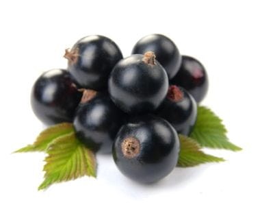 Liofilizowana czarna porzeczka 30g