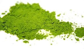 Herbata zielona ekologiczna Matcha Green Tea 100g